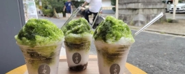 日本抹茶短缺，贵州小城能否成为下一个“宇治”？